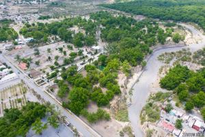 Exclusive Homesites Surrounded by Centenary Walnut Trees