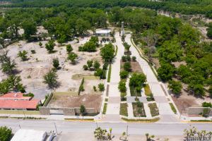 Exclusive Homesites Surrounded by Centenary Walnut Trees