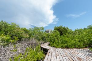 2-Bedroom Tropical Villa in Hotel Zone