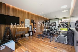 Casa Coyoacán Contemporaneo