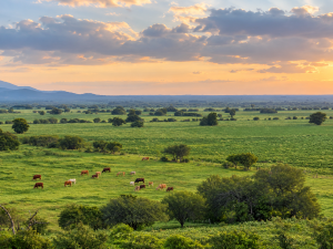 Expansive Ranch with Agricultural Land and Water Resources