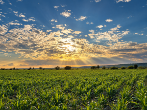 Expansive Ranch with Agricultural Land and Water Resources