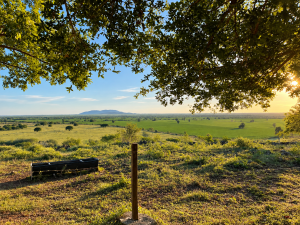 Expansive Ranch with Agricultural Land and Water Resources