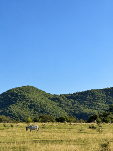 Expansive Ranch with Agricultural Land and Water Resources