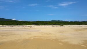 Naranjito’s Land| A pristine oceanfront sanctuary, Costalegre