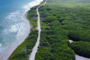 VIRGIN AND SECLUDED BEACHFRONT PARADISE