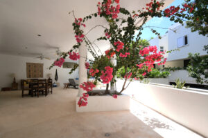 Aluxes House