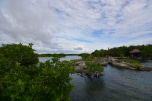 SERENE HAVEN