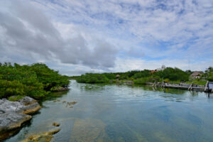 SERENE HAVEN