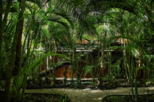 LUXURY JUNGLE TOWNHOUSE