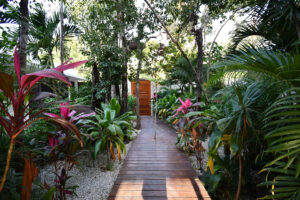 5 Bedroom Jungle Immersed Villa