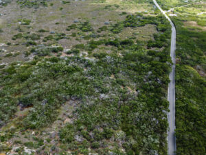 Terreno Estratégico Mérida–Progreso