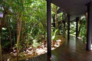 JUNGLE SOUL LOFT