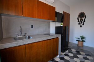 Luxury Penthouse with Private Rooftop | Lock-Off Investment Opportunity