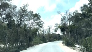 ATTRACTIVE PIECE OF LAND FOR AN APPEALING DEVELOPMENT