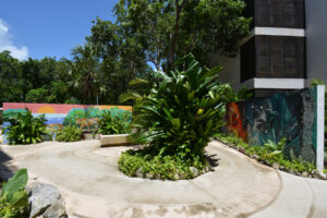 ART MAYA STUDIO