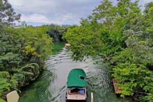 Rosewood Branded Beachfront Estate in Mayakoba | 131 Ft (40 m) of Frontage