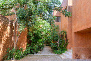 HISTORIC LUXURY RETREAT IN DOWNTOWN MERIDA
