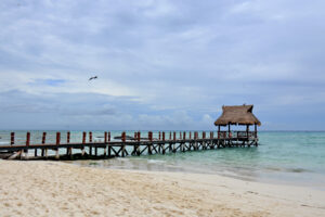 1-BEDROOM RESIDENCE WITH 5-DIAMOND LUXURY AMENITIES