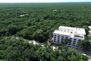 EXCLUSIVE LOT IN TULUM JUNGLE