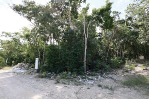 EXCLUSIVE LOT IN TULUM JUNGLE