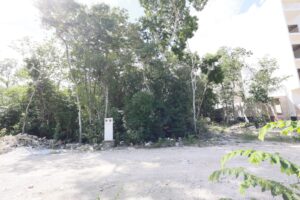 EXCLUSIVE LOT IN TULUM JUNGLE