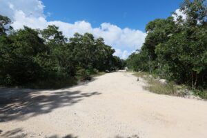 EXCLUSIVE LOT IN TULUM JUNGLE