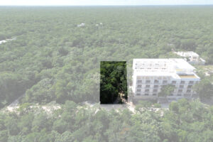 EXCLUSIVE LOT IN TULUM JUNGLE