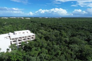 EXCLUSIVE LOT IN TULUM JUNGLE