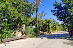 LOT BETWEEN DIAGONAL 65 AND 75 SOUTH WITH 21 SOUTH ST AND 19 BIS SOUTH ST, WITH