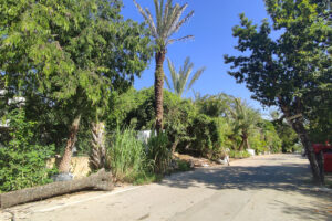 LOT BETWEEN DIAGONAL 65 AND 75 SOUTH WITH 21 SOUTH ST AND 19 BIS SOUTH ST, WITH