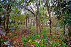 LOT BETWEEN DIAGONAL 65 AND 75 SOUTH WITH 21 SOUTH ST AND 19 BIS SOUTH ST, WITH