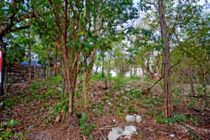 LOT BETWEEN DIAGONAL 65 AND 75 SOUTH WITH 21 SOUTH ST AND 19 BIS SOUTH ST, WITH