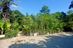 LOT BETWEEN DIAGONAL 65 AND 75 SOUTH WITH 21 SOUTH ST AND 19 BIS SOUTH ST, WITH