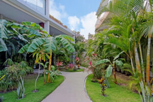Oasis of the Sun
