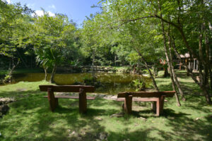VILLA SOUL OF THE JUNGLE