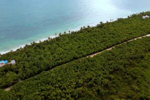 EXCLUSIVE BEACHFRONT LOT IN SIAN KA’AN