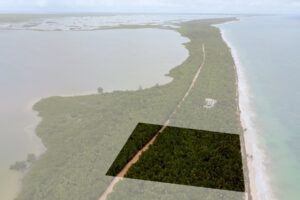 EXCLUSIVE BEACHFRONT LOT IN SIAN KA’AN
