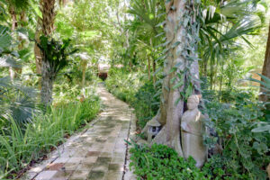 SERENE CHOLUL PARADISE
