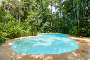 SERENE CHOLUL PARADISE