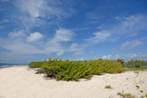 A BEACHFRONT, TRUE PIECE OF PARADISE