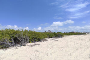 A BEACHFRONT, TRUE PIECE OF PARADISE