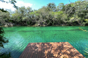 LUXURY ROSEWOOD VILLA