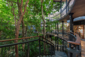 NATURAL SERENITY RETREAT