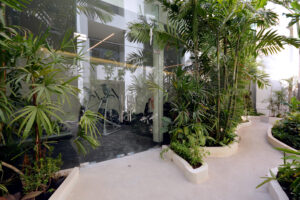 Elegant Sanctuary Between Jungle And Sea