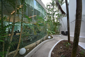 Elegant Sanctuary Between Jungle And Sea