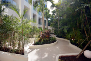Elegant Sanctuary Between Jungle And Sea