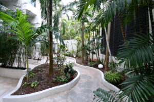 Elegant Sanctuary Between Jungle And Sea