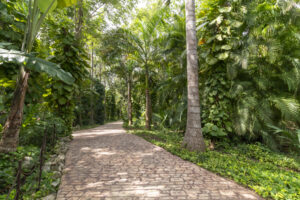 RAMONAL, OASIS OF NATURE AND LUXURY NEAR CANCUN