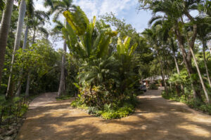 RAMONAL, OASIS OF NATURE AND LUXURY NEAR CANCUN